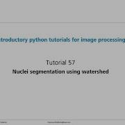 Урок 57 Сегментация ядер клеток в Python с использованием метода водоразделов