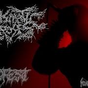 MIASMATIC NECROSIS Live At NECROFEST July 9th 2022 FULL SET