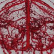 Perceptual Cues For Blood Vessel Visualization