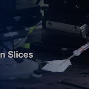 Image Guided Patch Clamp To Study Neurons In Brain Slices Protocol Preview