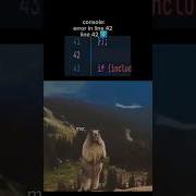 Memes Bear Coding Error Funny Coding App Uiux Meme Comedy Daily