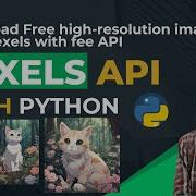 Download Pexels Unlimited Images With Python Pexels API Key Free With Python