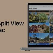 How To Use Split View On Mac Apple Support