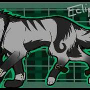 My Wolf Tribute Flyleaf Again