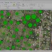 Palm Tree Detection Using AI Advanced Spatial Analysis In Arcgispro Beyond Esri Tutorial