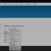 Drupal 8 Core Now With More Fields