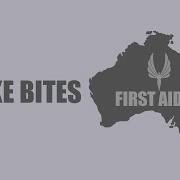 First Aid Treatment For Snake Bite