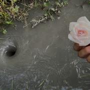 Amazing Water Vortex Experiment Whirlpool Hole Vs Flowers
