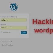 WordPress Security EXPERT Exposes Shocking 810 Million Website Hack