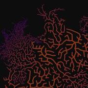 Digital Roots Generative Art Made In Processing