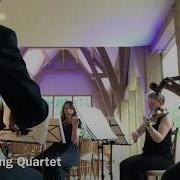 Vyne String Quartet Isn T She Lovely
