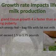 Understanding Of Feed Quality Test Results And Lactating Cows