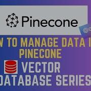 Manage Data In Pinecone Part 3 Pinecone Index Operations Semantic Search In Pinecone