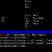 Bypassing The Linux Kernel Aslr And Exploiting A Buffer Overflow Vulnerable Application With Ret2Esp