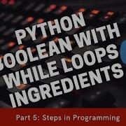 Programming In Python Using Boolean And Loops Ingredients