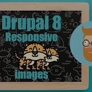 Setting Up Responsive Images In Drupal 8