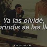 Usted Panda Letra Frame Lite
