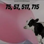 Cow Error 1104