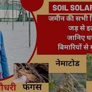 जम न स ज ड हर ब म र क इल ज Soil Solarization क स न ख म र म च धर