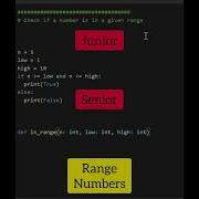 Junior Vs Senior Developer Coding Programming Python Shorts