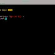 Sorting Through Files To Get Info BASH Linux