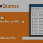 WPF Data Grid Virtual Data Source Editing