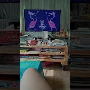 Animanimals Flamingo