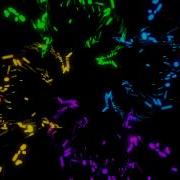 Audio React Adobe After Effects Trapcode Particular HD 1080