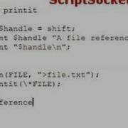 Perl Tutorial 81 Reference A Typeglob Other Data Types