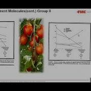 Waters Pittcon 2022 Symposium Supercritical Fluid Chromatography Mary Ellen McNally
