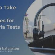 How To Take Water Samples For Bacteria Tests