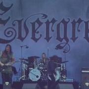 EVERGREY 2017