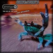 Shikmusik S The Prodigy The Fat Of The Land Era Megamix