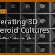 How To Generate Uniform Size Controlled 3D Spheroid Cultures With AggreWell Microwell Plates