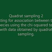 Quadrat Sampling