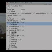 Software Carpentry September 2012 1 9 The Unix Shell