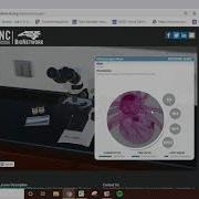 Intro To Microscopes Virtual Lab Slides