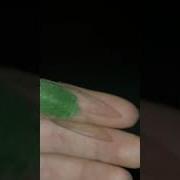 Cicada Bugging Scream