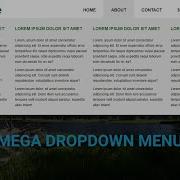 Mega Dropdown Menu Using Only HTML CSS