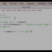 Python 3 Print Input Functions