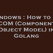 Windows How To Use COM Component Object Model In Golang