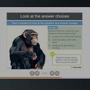 WIDA Access Test Introduction To Reading