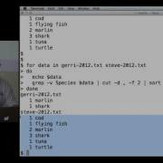 Software Carpentry September 2012 1 8 The Unix Shell