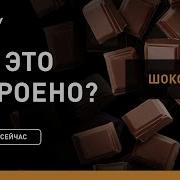 Производство шоколадных конфет Как это устроено Discovery Channel