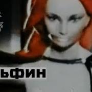 Дельфин Dolphin Пляж
