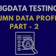21 A Data Completeness Check Column Data Profiling Part 2