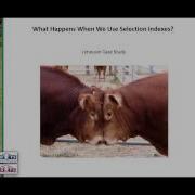 Understanding Selection Indexes