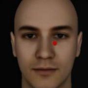 The More Or Less Morphing Face Illusion