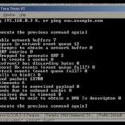 FreeRTOS UDP Echo Client Example