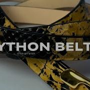 Python Belt
